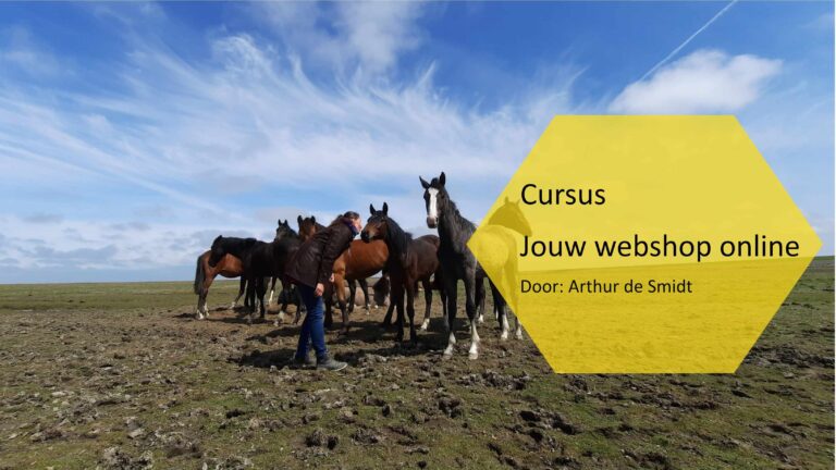 Cursus Jouw webshop online in 6 stappen